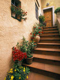 Tuscan Staircase, Italy Fotografisk trykk av Walter Bibikow Tuscan Staircase, Italy Fotografisk trykk av Walter Bibikow