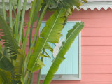 Palm and Pineapple Shutters Detail, Great Abaco Island, Bahamas Lámina fotográfica por Walter Bibikow