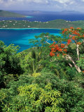 Magens Bay, St. Thomas, Caribbean Fotografie-Druck von Robin Hill