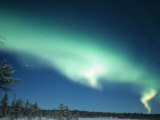 The Aurora Borealis, Lapland, Finland Photographic Print by Daisy Gilardini