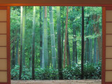 Okochi Sanso, Kyoto, Japan Lámina fotográfica por Rob Tilley Okochi Sanso, Kyoto, Japan Lámina fotográfica por Rob Tilley