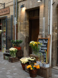 Florist Shop, Languedoc-Roussillon, France Photographic Print by Lisa S. Engelbrecht