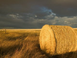 Landscape and Hay Roll in Alberta, Canada Fotografie-Druck von Walter Bibikow