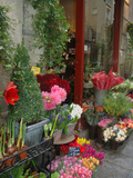 Florist in Ile St. Louis, Paris, France Photographic Print by Lisa S. Engelbrecht