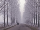Wagon on Misty and Icy Road, Suceava County, Romania Photographic Print by Gavriel Jecan