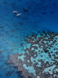 Aerial View of Seaplanes Landed Near Reef, Great Barrier Reef, Australia Photographic Print by John Banagan