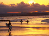 Surfers at Sunset, Gold Coast, Queensland, Australia Fotografie-Druck von David Wall