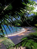 Tropical Foliage and Beach, Seychelles Photographie par Nik Wheeler