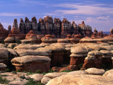 Chesler Park Trail in Needles Region, Canyonlands National Park, USA Photographic Print by Carol Polich