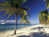 Tropical Beach on Isla de la Juventud, Cuba Fotoprint van Gavriel Jecan Tropical Beach on Isla de la Juventud, Cuba Fotoprint van Gavriel Jecan