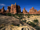 Chesler Park Trail in Needles Region, Canyonlands National Park, USA Photographie par Carol Polich