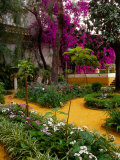 Garden Courtyard, Marrakech, Morocco Photographic Print by John & Lisa Merrill