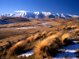 Tussocks and Hawkdun Range, Central Otago, New Zealand Fotografie-Druck von David Wall
