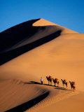Camel Caravan at Sunset, Silk Road, China Photographic Print by Keren Su
