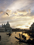 Grand Canal, Santa Maria della Salute Church, Gondolas, Venice, Italy Fotografie-Druck von David Barnes
