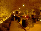 Wine Cellar of Chateau de Pierreclos, Burgundy, France Photographic Print by Lisa S. Engelbrecht