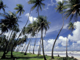 View of Manzanilla Bay, Port of Spain, Trinidad, Caribbean Photographic Print by Greg Johnston