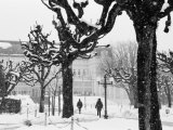 Winter, Mirabellgarten, Salzburg, Austria Photographic Print by Walter Bibikow