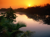 Sun Rising Over the Still New River, Belize Photographic Print by John Elk III
