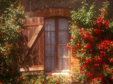 House with Summer Roses in Bloom, Vaucluse, France Photographie par Walter Bibikow