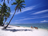 Girl on Beach with Coconut Palm Trees, Tambua Sands Resort, Coral Coast, Fiji Photographie par David Wall