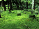 Moss Temple (Kokedera, Saihoji), Kyoto, Japan Photographic Print by Rob Tilley