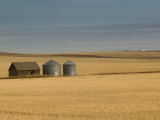 Grain Barn on Wheat Farm in Rosebud, Alberta, Canada Photographic Print by Walter Bibikow