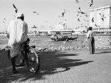 Birds and Watcher, Dubai Creek, Dubai Photographic Print by Walter Bibikow