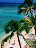 Palm Trees Over Waikiki Beach, Waikiki, U.S.A. Photographic Print by Ann Cecil