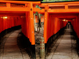 Torri Gates Lining Mountain Pathways at Fushimi-Inari, Kyoto, Japan Photographie par Frank Carter