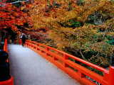 Bridge Leading to Saimyo-Ji, Kyoto, Japan Photographie par Frank Carter
