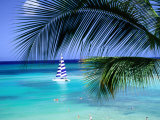 Palm Tree, Swimmers and a Boat at the Beach, Waikiki, U.S.A. Photographic Print by Ann Cecil