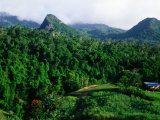 Overhead of Forested Mountains and Cane Field, Nadi, Fiji Photographie par Peter Hendrie