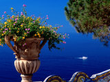 Flowers in Bloom on Terrace of Hotel San Pietro, Positano, Italy Fotografie-Druck von Dallas Stribley
