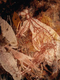 Aboriginal Rock Art Painting of a White Kangaroo at Karbenadjarlnglawe, Kudjekbinj, Australia Photographie par Richard I'Anson