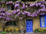 Cottage with Wisteria in Flower, Broadway, United Kingdom Fotografie-Druck von Barbara Van Zanten