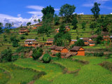Himalayan Settlement, Annapurnas, Nepal Photographic Print by Carol Polich