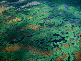 Aerial View of Wetlands, Everglades National Park, USA Photographic Print by Jim Wark