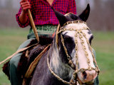 Gaucho on Horse, Buenos Aires, Argentina Photographie par Michael Coyne