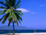Beach Vendor Walking along Sand with Palm Tree in Foreground, Nha Trang, Vietnam Photographic Print by John Banagan