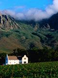 Cape Dutch Colonial Manor House and Vineyard with Mountain Backdrop, Dornier, South Africa Photographie par Ariadne Van Zandbergen