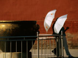 Two Young Women with Umbrellas Standing Beside Water Urn, Forbidden City, Beijing, China Lámina fotográfica por Bruce Yuan-yue Bi