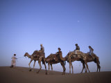 Sunset Camel Ride, Al Maha Desert Resort, Dubai, United Arab Emirates Photographic Print by Holger Leue