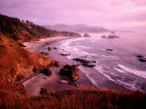 Overhead of Coastline, Cannon Beach, Evening, Ecola State Park, U.S.A. Photographic Print by Ann Cecil
