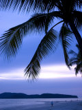 Sunset on Palm Trees Lining Beachfront at Pantai Cenang, Malaysia Photographie par Glenn Beanland