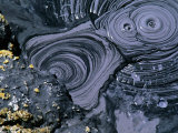 Bubbling Mud Pot in Bumpass Geothermal Area, Lassen Volcanic National Park, U.S.A. Photographie par Ruth Eastham