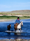 Cowboy Leading Foal Across a River, Aspen, U.S.A. Photographic Print by Curtis Martin