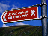 Kerry Way Signpost, Waterville, Ireland Photographic Print by Richard Cummins