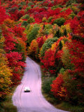 Car on Road at Autumn, USA Lámina fotográfica por Mark Newman Car on Road at Autumn, USA Lámina fotográfica por Mark Newman