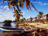 Holiday Accomodation Overlooking Palms and Mangroves, Belize Photographic Print by Wayne Walton